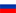 Russian Icon